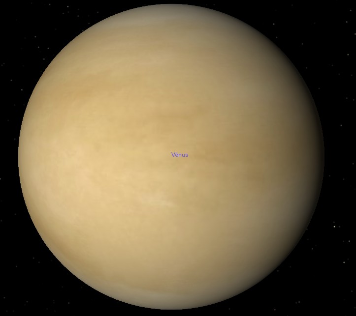 Venus.jpg